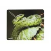 Natec NPP-0936 Producto Blanco