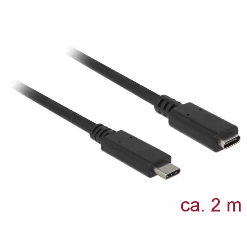 Cable USB DeLOCK SuperSpeed USB 3.2 Gen 1 2 m USB-C negro