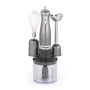 Salter EK2827GUNMETALFVDE set de batidora 3 en 1 Cosmos