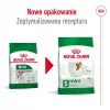 Pienso seco para perros Royal Canin Adult Mini S 8 kg — alimento completo para perros adultos pequeños