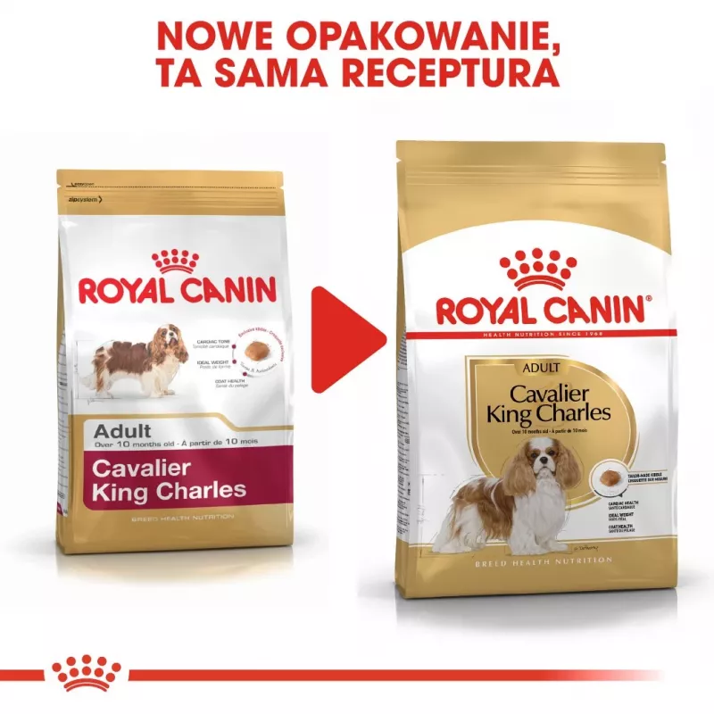Comida seca para perros Royal Canin Cavalier King Charles Adult 1,5 kg — pollo, raza pequeña, piel y pelo, apoyo cardíaco