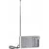 Radio analógica portátil Panasonic RF-P150DEG plata