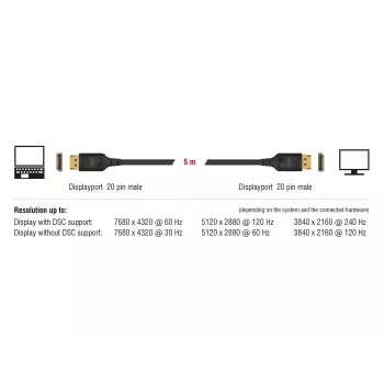 Cable DisplayPort DeLOCK 85658 1 m negro