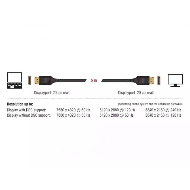 Cable DisplayPort DeLOCK 85658 1 m negro