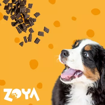 Comida seca para perros ZOYA ColdPRO Cordero 3 kg — alimento completo para perros adultos en croquetas, 26% proteína, 9,5% grasa