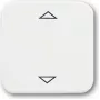 Busch-Jaeger 2CKA006430A0314 Actuador Smart Home Disparador para persiana/toldo (2CKA006430A0314)