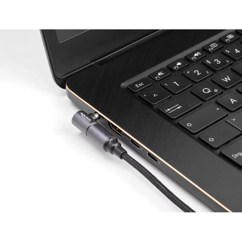 Cable de alimentación DeLOCK 80781 0,15 m USB-C 8-Pin 20 V