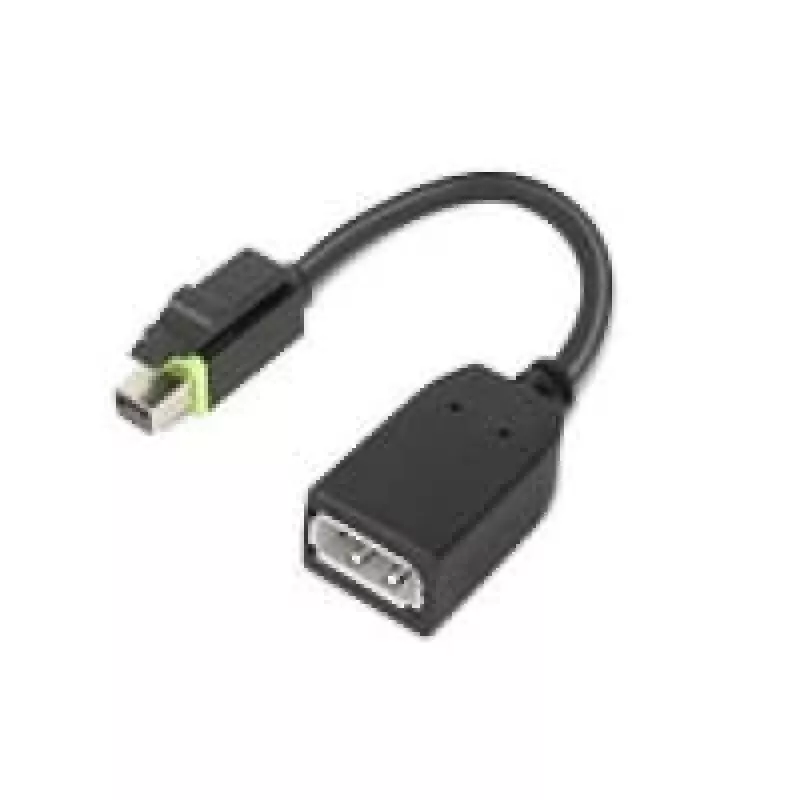 Adaptador de cable de vídeo Lenovo 4X90Q93975 Mini DisplayPort DisplayPort negro