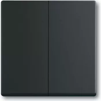 BUSCH JAEGER 1751-0-3038 - Teclas - Negro - Plástico - 63 mm - 63 mm - 1 ud.