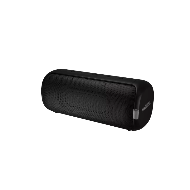 Altavoz portátil estéreo Audictus Aurora Pro 20 W