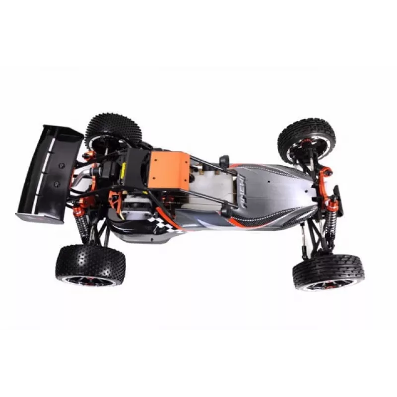 Buggy Amewi 