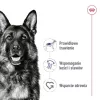 ROYAL CANIN SHN Maxi Adult lata 410 g