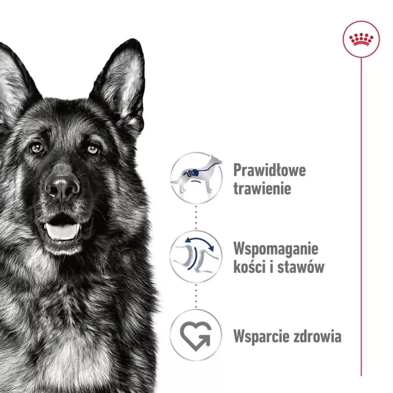 ROYAL CANIN SHN Maxi Adult lata 410 g