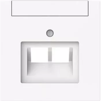 BUSCH-JAEGER 1803-02-44G placa central 2 módulos UAE con etiquetado (2CKA001710A4227)
