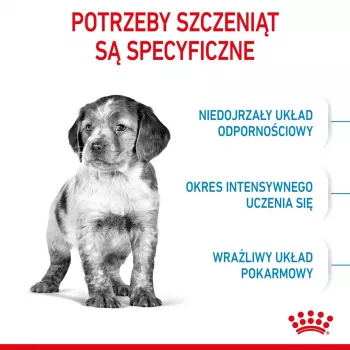 Pienso seco para perros Royal Canin Medium Puppy 4 kg — para razas medianas 10–25 kg, proteina 32 %, grasa 20 %, pollo