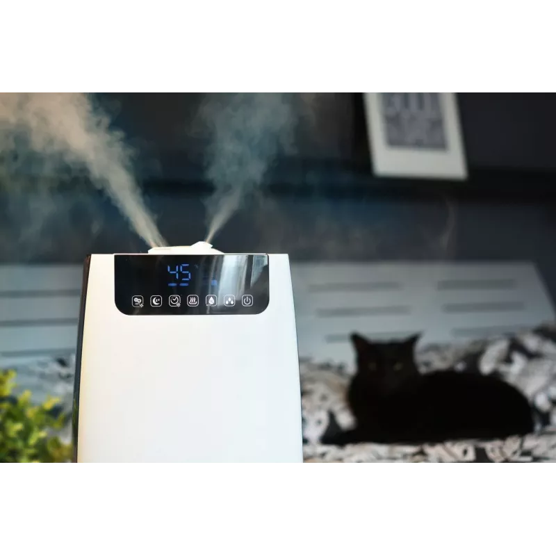 Humidificador Blaupunkt AHS803 ultrasónico 5 L plateado 105 W