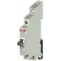 ABB Interruptor de grupo 16 A 1 conmutador 250 V/AC 2CCA703025R0001 (2CCA703025R0001)