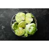 Lechuga Crisp Ice Summer Toraf semillas de hortalizas, paquete de 1 g