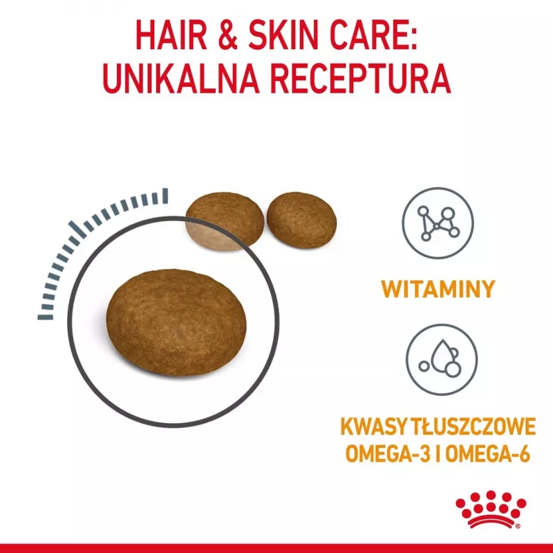 Pienso seco para gatos Royal Canin Hair & Skin Care 4 kg – gatos adultos, aves, alimento completo