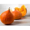 Semillas de hortalizas calabaza Uchiki Kuri Toraf, paquete de 5g