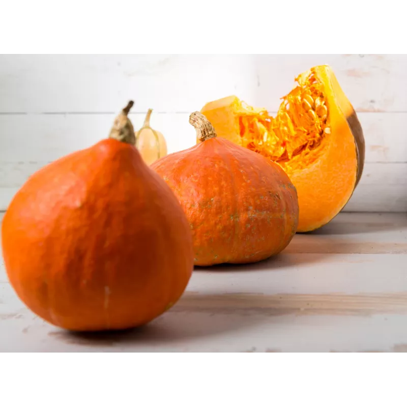 Semillas de hortalizas calabaza Uchiki Kuri Toraf, paquete de 5g