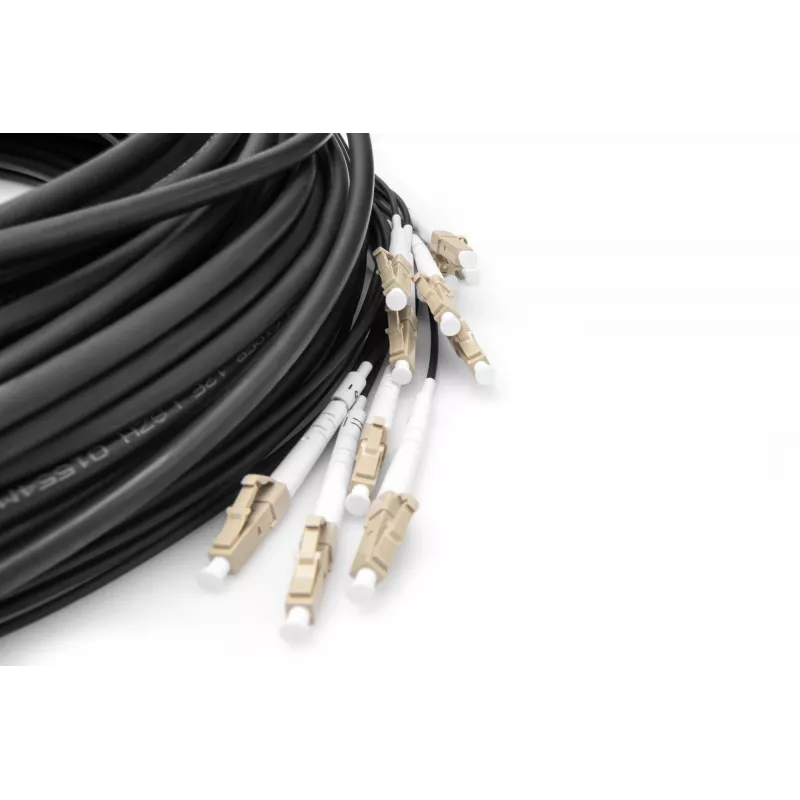 Cable breakout Digitus DK-2433CU030BK-BBB 30 m OM4 12 fibras LC/UPC
