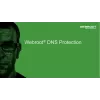 Webroot | DNS Protection con consola GSM | 2 años | Cantidad de licencias 1-9 usuarios