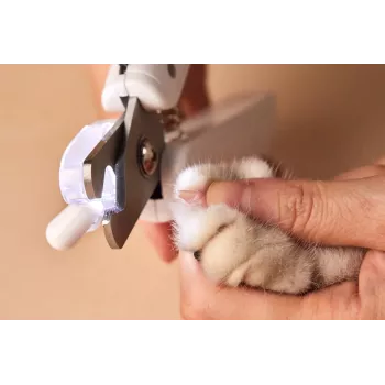 PETKIT cortaúñas para gatos y perros PRO Cutter con luz LED mejorada, profesional con línea de sangre iluminada, cortaúñas para gatos y mascotas, belleza