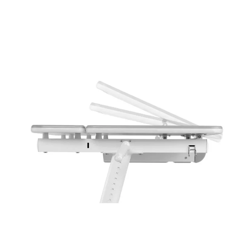 Ergo Office Escritorio infantil ergonómico de altura ajustable, gris, máx. 100 kg, ER-417 2cz