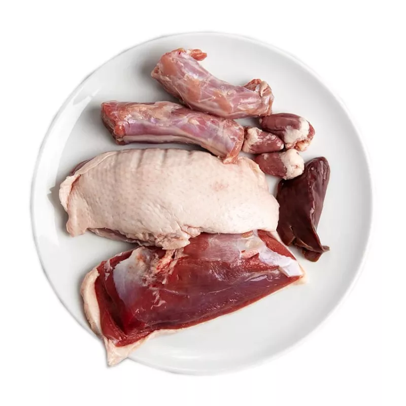 3Coty Duck comida húmeda para gatos adultos, 180 g