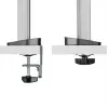 White Shark GMS-3204 Amenhotep I soporte de escritorio para monitor, 17-32 pulgadas, VESA 75x75/100x100, hasta 9 kg, gris