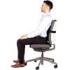 Soporte lumbar para silla PlushTouch/Lumbar 8026501 FELLOWES