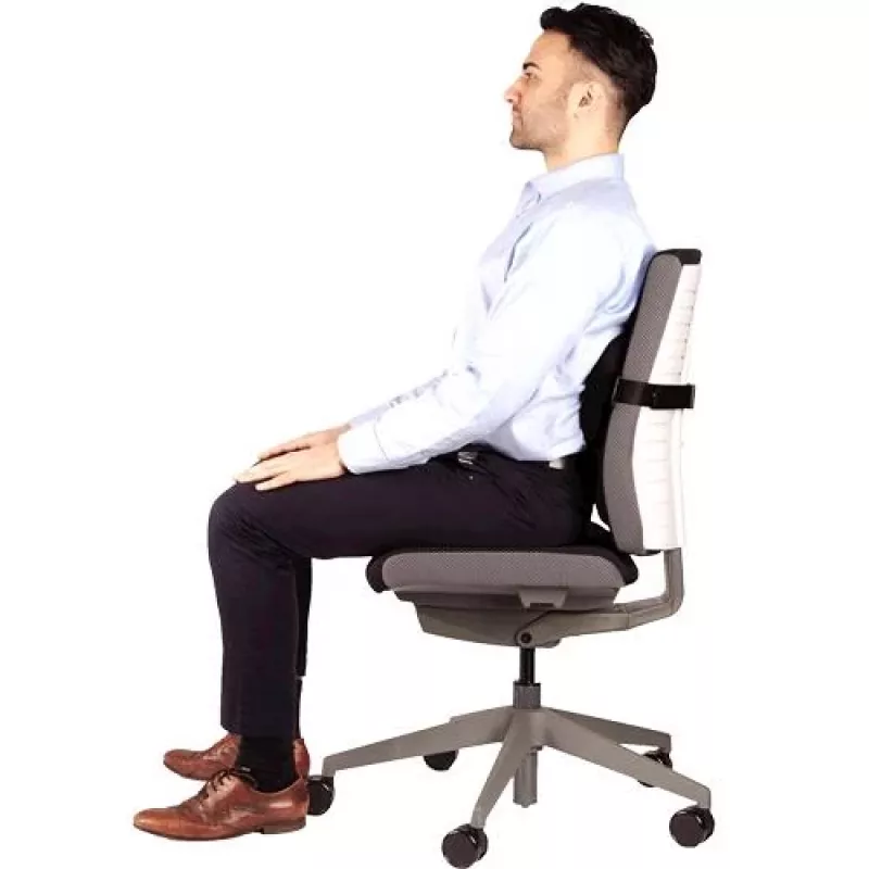 Soporte lumbar para silla PlushTouch/Lumbar 8026501 FELLOWES