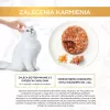 Purina Gourmet Gold Savoury Cake comida húmeda para gatos 48x85 g