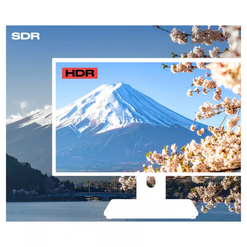 JAPANNEXT Monitor táctil FHD 54,61 cm (21,5
