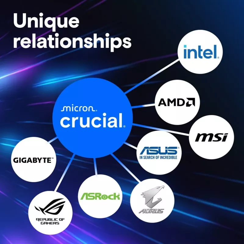 16 GB Crucial Pro Módulo - DIMM 288-PIN Low Profile - 6000 MHz / PC5-48000 - CL48 - 1.1 V - sin búfer - on-die ECC - negro mate