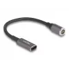 Cable de alimentación DeLOCK 80781 0,15 m USB-C 8-Pin 20 V