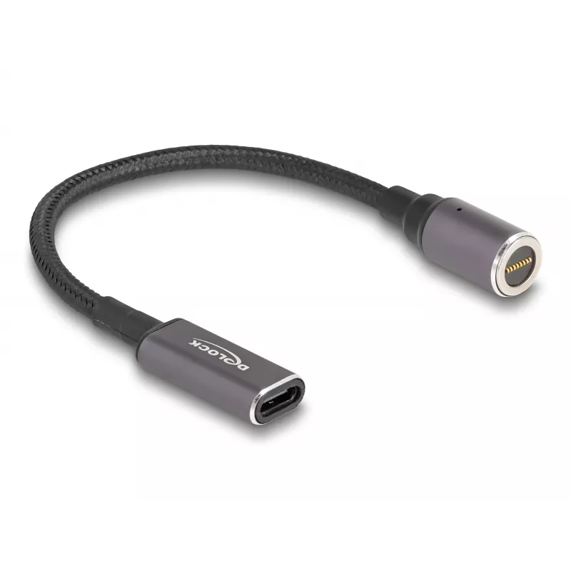 Cable de alimentación DeLOCK 80781 0,15 m USB-C 8-Pin 20 V