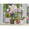Pulverizador de mano Gardena 11110-20 0,75 L negro