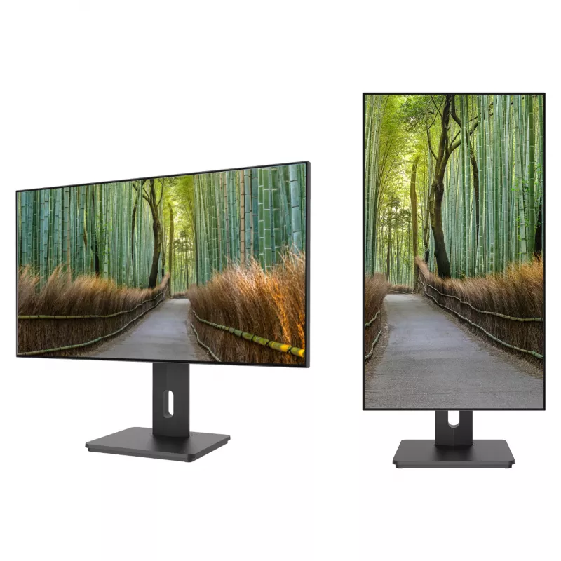 JAPANNEXT JN-27IPS4FLWQHDR-HSP 16:9 HDMI/DP WQHD - pantalla plana (TFT/LCD)