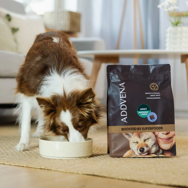 ADDVENA Boosted by superfoods Adult Medium/Large Beef - pienso seco para perros - 2,5 kg