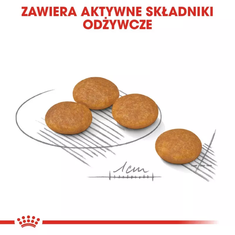 ROYAL CANIN Mini Dermacomfort - Comida seca para razas pequeñas adultas con piel sensible propensa a irritaciones - 3 kg