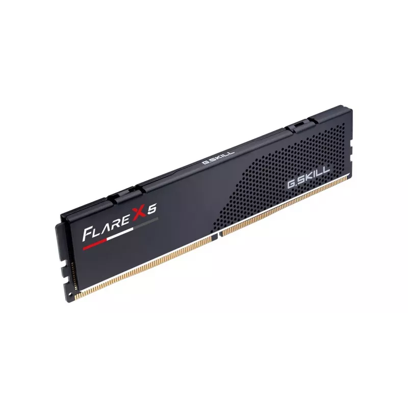 G.Skill Flare X5 F5-6000J3038F8GH1-FX5, 8 GB, 1 x 8 GB, DDR5, DIMM de 288 pines - G.Skill Flare X5 F5-6000J3038F8GH1-FX5. Componente para: PC