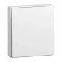 BUSCH JAEGER BJ 2506-915 tecla cerrada para mecanismo de interruptor Busch-balance SI (2CKA001731A4043)