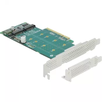 Tarjeta DeLOCK PCI Express x8 a 2 x NVMe M.2 Key M internos bifurcación formato low profile