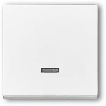 BUSCH JAEGER 6543-84-101 - Blanco - Busch-Jaeger - 63 mm - 63 mm - 1 ud.