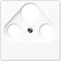 Toma de pared para satélite/TV/radio Jung A 561 BFPLSAT WW blanco, termoplástico, 1 módulo
