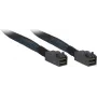 Inter-Tech - cable SAS interno - SAS 12Gbit/s - 4x Mini SAS HD (SFF-8643) a 4x Mini SAS HD (SFF-8643) - 1,0 m - negro/azul (88885006)