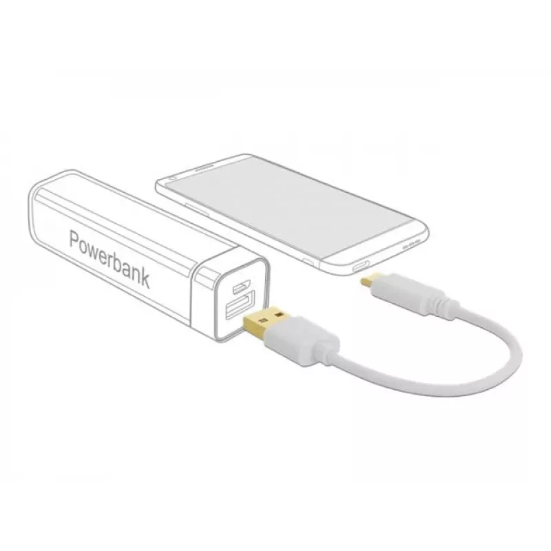 Cable de carga USB DeLOCK Type-A a USB Type-C 15 cm