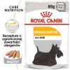 Royal Canin CCN Dermacomfort Loaf comida húmeda para perros, pack de 12 x 85 g